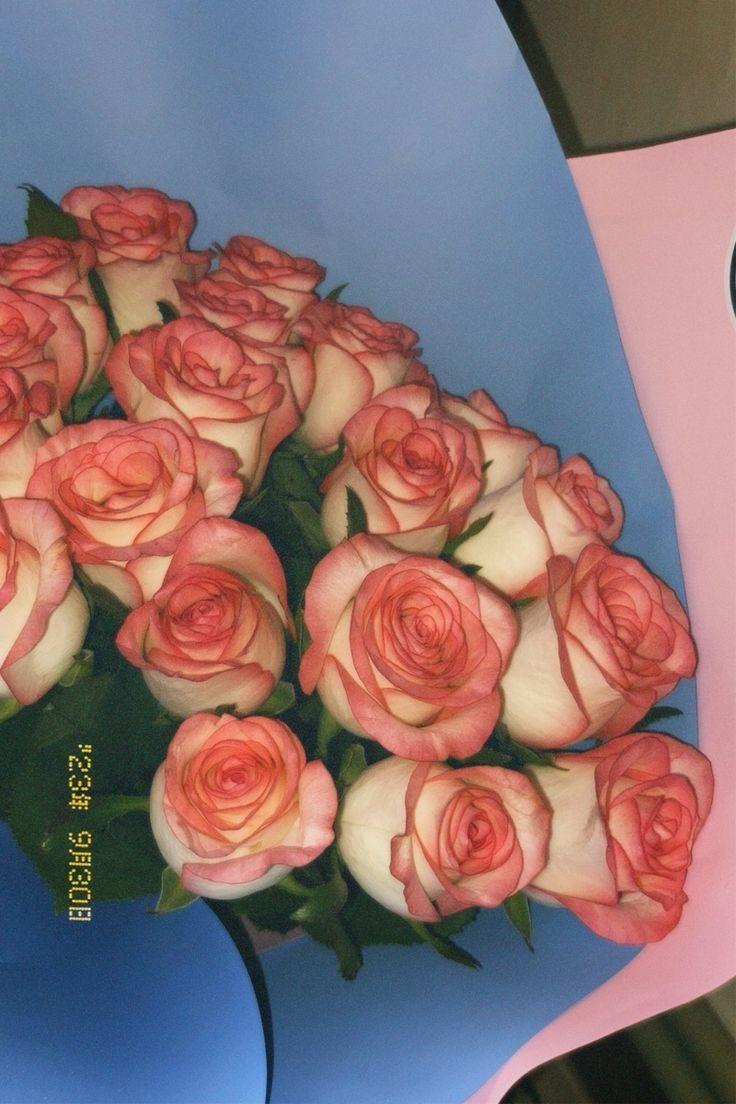 Whisper of Dawn Pastel Arrangement